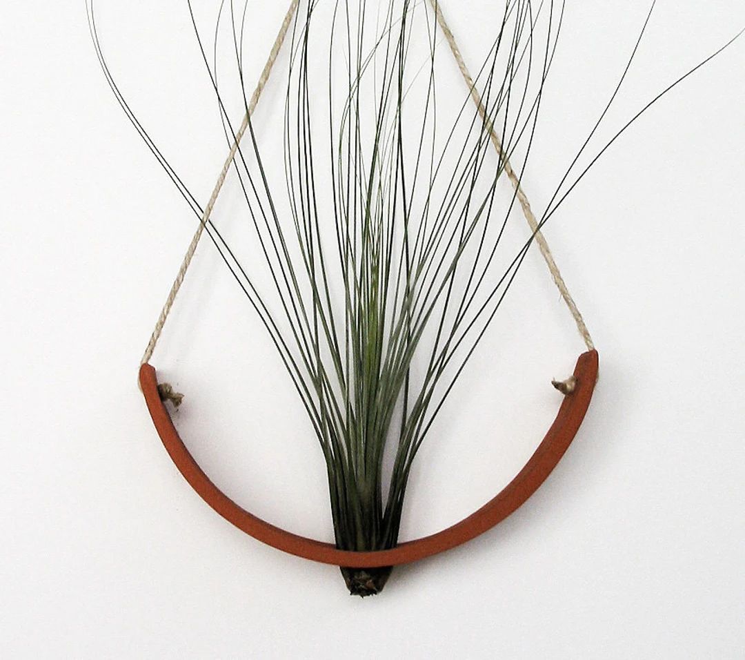 Beautiful Large Terracotta Hanging Air Plant Cradle Wall - Etsy | Etsy (US)