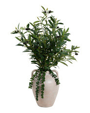 30in Faux Olive Leaves Berry With String Of Pearls In Pot | Plants & Planters | Marshalls | Marshalls