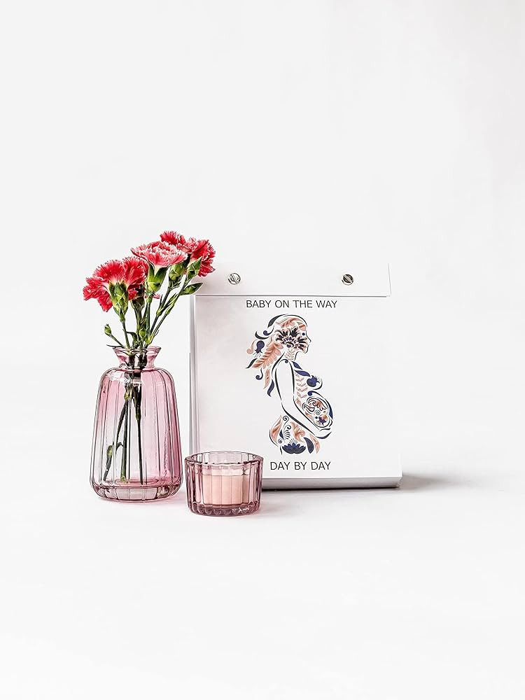 Baby On The Way - Day By Day Pregnancy Calendar, Pregnancy guide, Pregnancy gift, daily countdown... | Amazon (US)