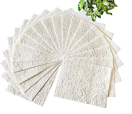 Amazon.com: JAKAPAN Thick Mulberry Paper Sheets Natural Leaves Dried Flower Petals Decorative DIY... | Amazon (US)