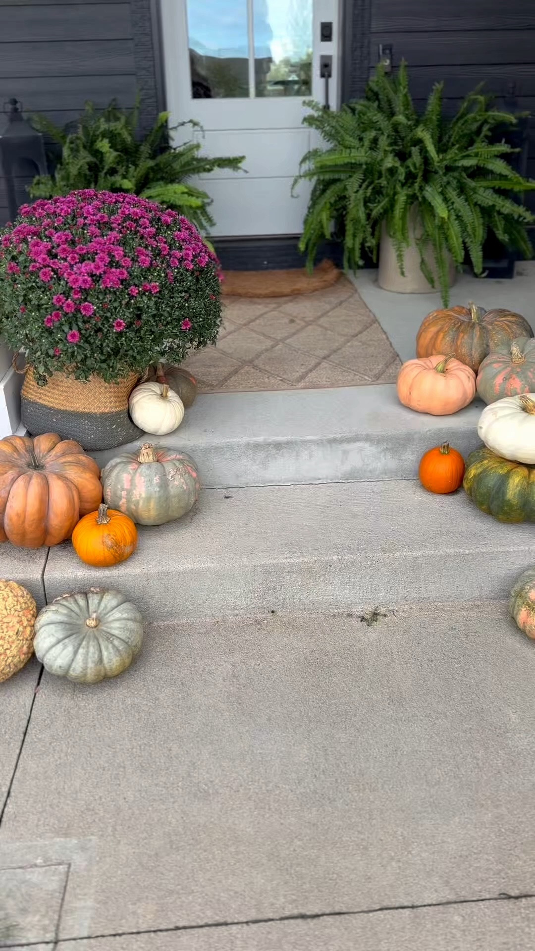 Simple ways to make your home more cozy this fall…
adding a seasonal wreath to your front door that looks inviting (and real). Pumpkins, baskets, mums + potted herbs make the front porch look welcoming.

#LTKSeasonal #LTKHome #LTKstorytime