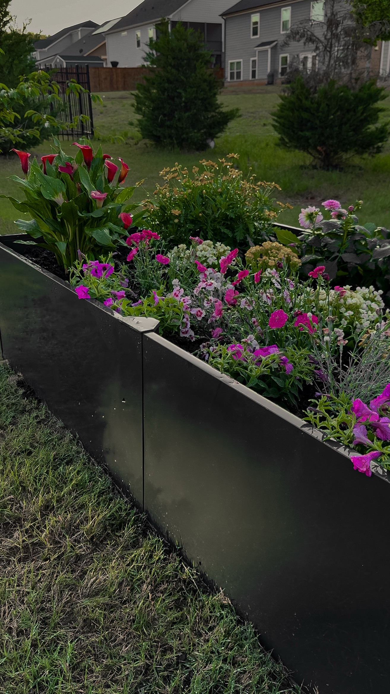 Getting my hands dirty has never felt so good!
I’m kicking off my gardening journey with these gorgeous Vego Garden beds — one filled with fresh herbs and the other blooming with flowers. I’m just getting started and already dreaming about adding even more! Here’s to a season full of growth, color, and plenty of fresh air!
#GardenGoals #PlantDreamsGrowJoy #VegoGarden #GardenLife #RaisedGardenBeds #FlowerPower #HerbGarden #SpringGardening #SummerVibes #GrowWithMe #BackyardBliss #GardenTherapy #HomeGarden #GardenFresh #PlantMagic #FlowerPatch #HerbLover #GreenThumb #BloomsAndBuds #GrowYourOwn #VegetableGarden #UrbanGardening #OrganicGardening #ContainerGardening #GardenInspo #FreshStarts #SowAndGrow #GardenVibes #GardenAddict #OutdoorLiving #GardenLove


#LTKSeasonal #LTKStyleTip #LTKHome