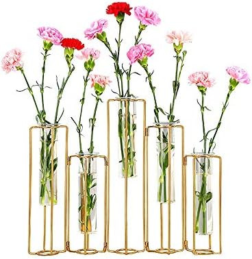 HelloHome Hinged Flower Vases Test Tube Flower Vase with 5 Test Tubes Gold Metal Frame can be Ben... | Amazon (US)