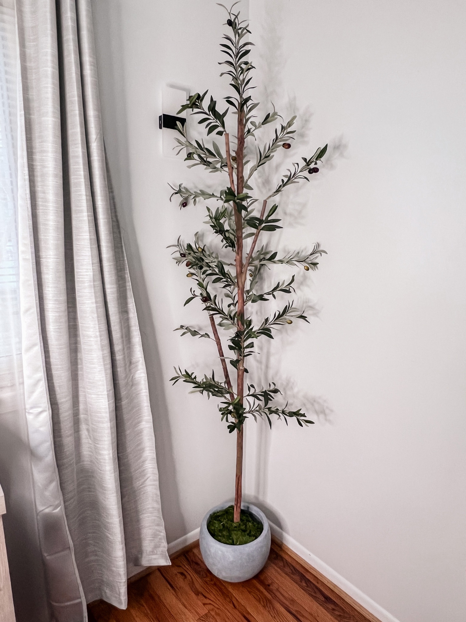 Love my new planter for my nearly natural olive tree 

#LTKfindsunder100 #LTKhome #LTKfindsunder50