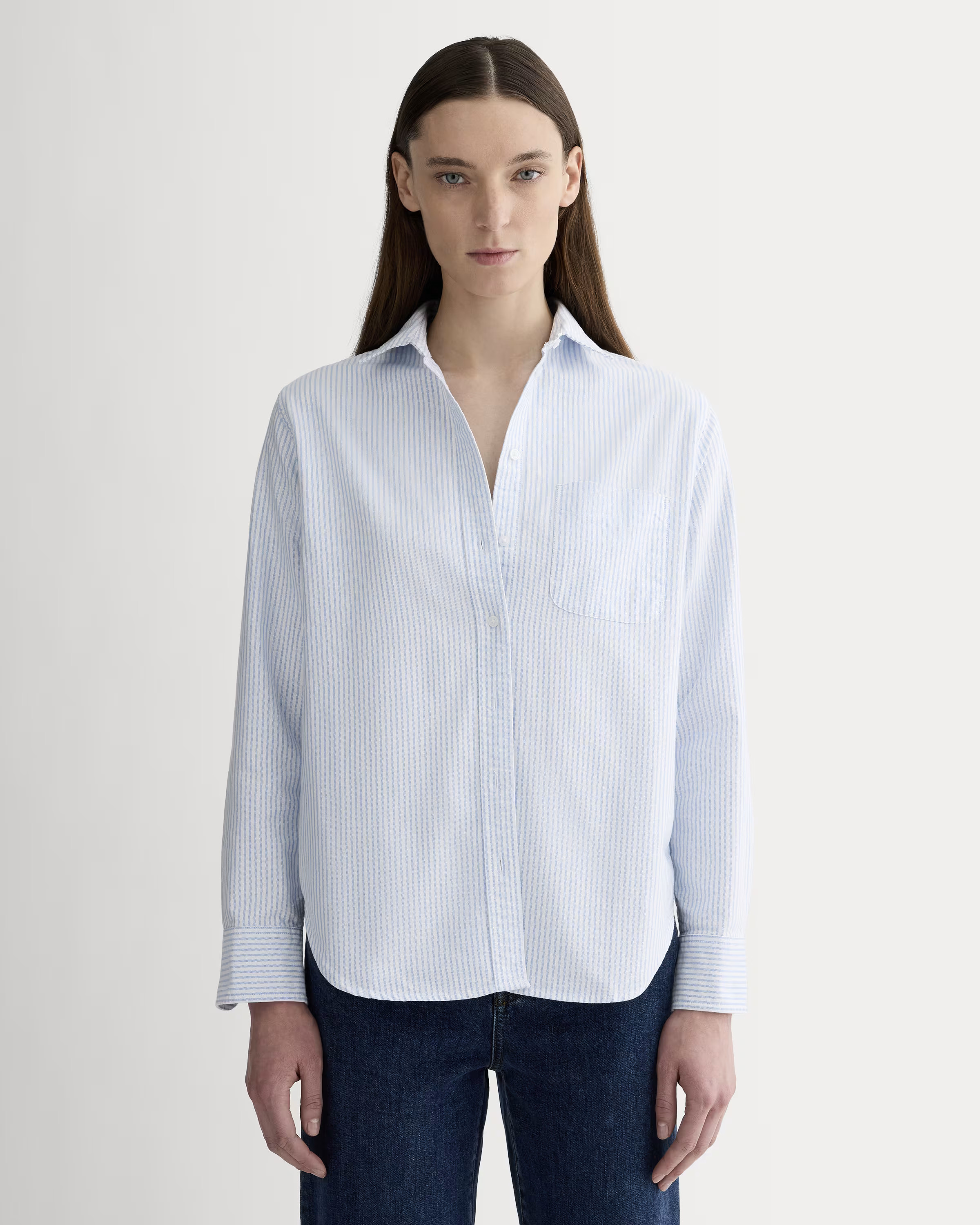 The Must-Have Oxford Shirt | Everlane