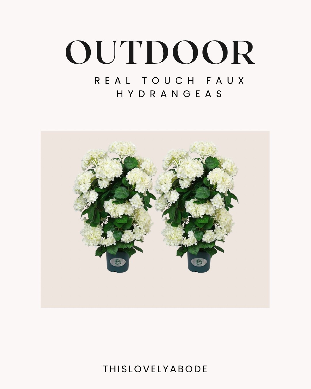 Just received this and they’re absolutely stunning! The quality is 10/10!
#amazon #hydrangeas #fauxhydrangeas #outdoordecor

#LTKHome