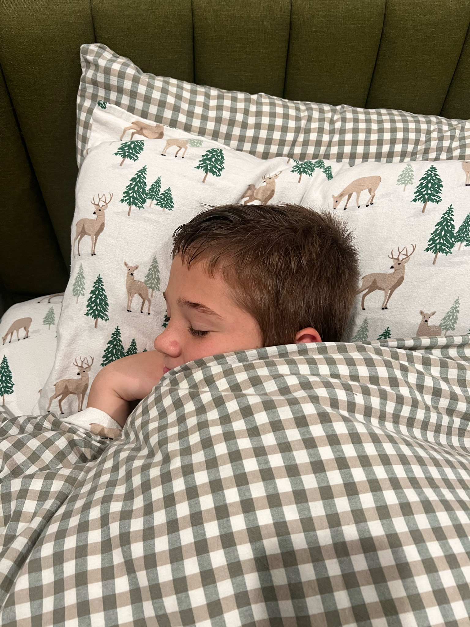 Tis the season for cozy bedding!

#LTKFindsUnder50 #LTKHome #LTKGiftGuide