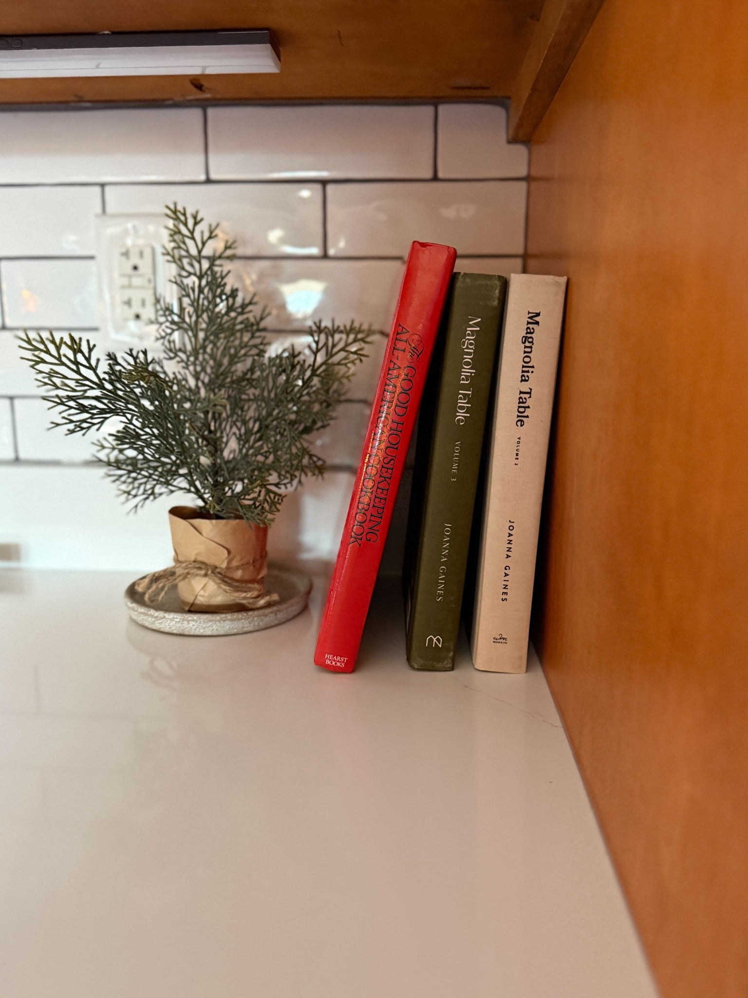 The best cookbooks/decor! Joanna Gaines Magnolia Table Cookbooks are my fave. The red book is a vintage Good Housekeeping thrift find! 

#LTKfoodie #LTKHome #LTKOver40