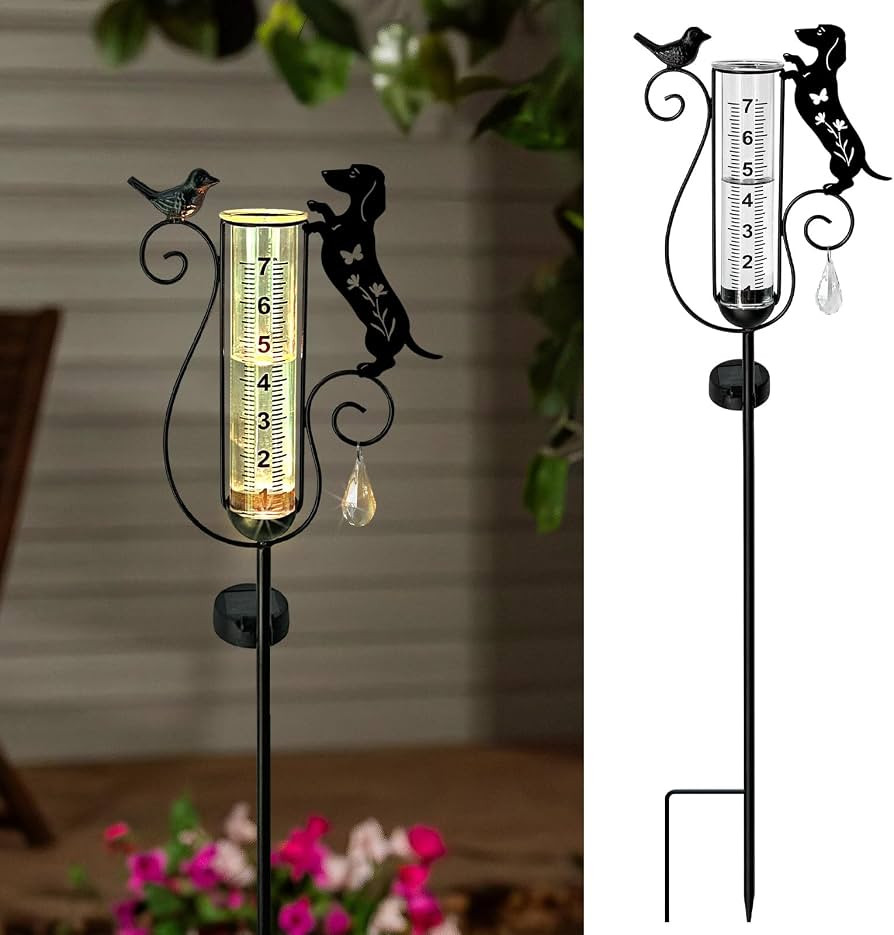 Dachshund Dog Rain Gauge Outdoor,Solar Powered Decorative Metal Dog and Bird Garden Stakes,Rain G... | Amazon (US)