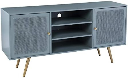 SEI Furniture Alsterson w/Storage Media Stand, Mint/Gold | Amazon (US)