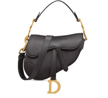 Mini Saddle Bag - DIOR | 24S (APAC/EU)