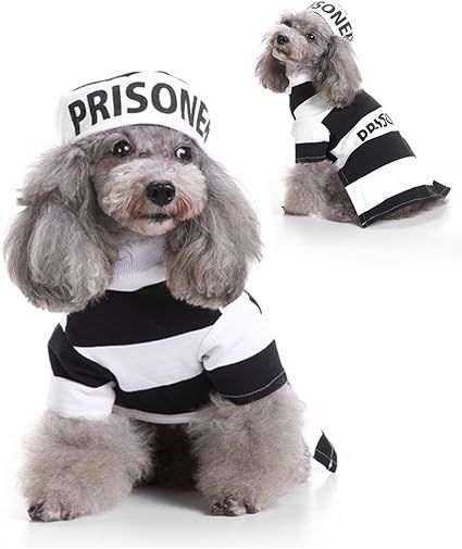 LUCKSTAR Prisoner Dog Costume - Prison Pooch Dog Halloween Costume Party Pet Dog Costume Clothes ... | Amazon (US)