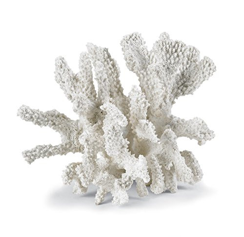 Mud Pie White Coral Chunk Decorative Accent | Amazon (US)