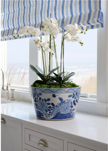 New blue and white planters perfect for orchid arrangements 💗

#LTKsalealert #LTKfindsunder50 #LTKhome