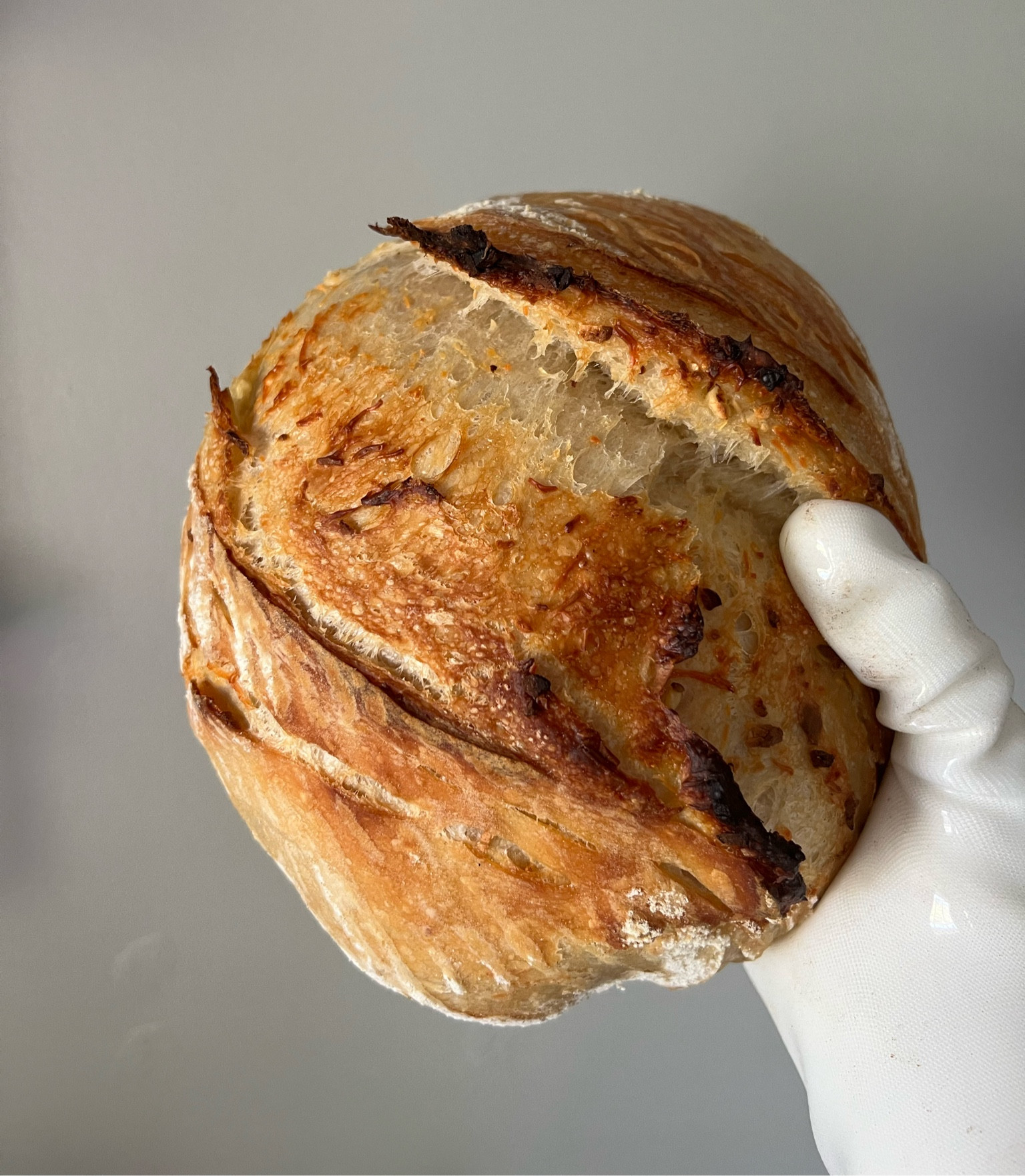 Bread Shaping Must haves 

#LTKxWalmart #LTKHome #LTKFindsUnder50