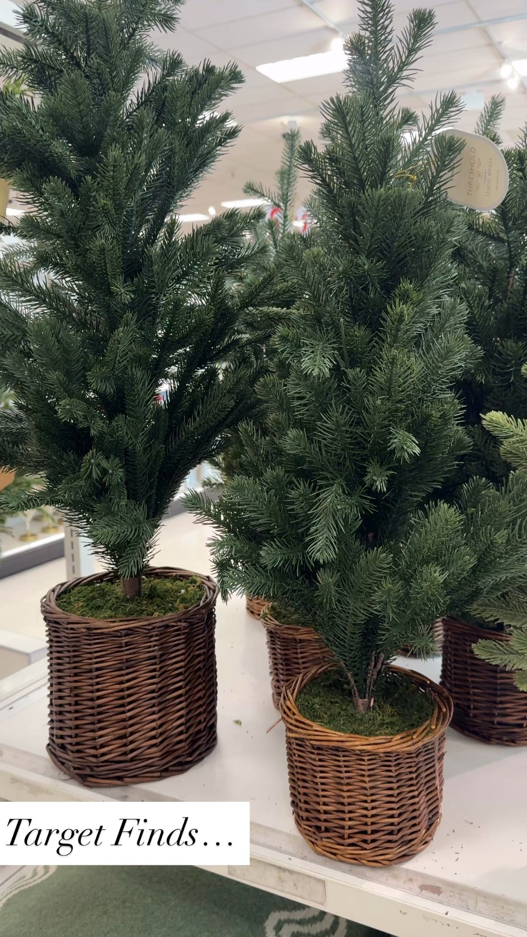 I LOVE these faux plants, holiday vibes but you could keep them out year round.

Holiday decor | holiday decorations | target finds 



#LTKHoliday #LTKHome #LTKFindsUnder50