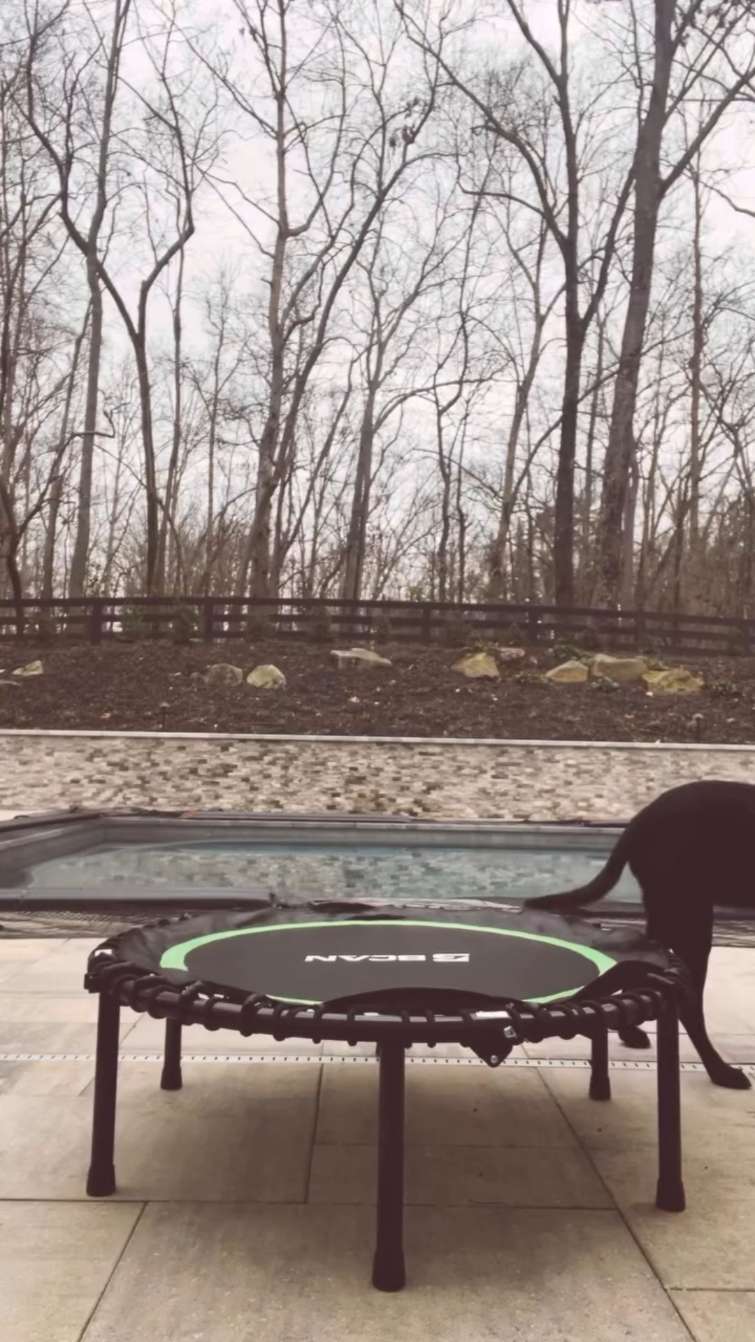 Ok, I’m finally finished with everything Christmas and needed the motivation to make this healthy dinner I’ve got planned for tonight. I just got this rebounder and I love it. Since my phone knows what I’m thinking, it’s been showing me lots of people using their rebounders and all the benefits. To do my own research, I asked little Chatty G to share with me some benefits and here’s what he shared:

First of all, do you use a rebounder?

🫀 Boosts Lymphatic Drainage & Detox
	•	The up-and-down motion stimulates the lymphatic system, which relies on movement (not the heart) to flush toxins.
	•	Helps reduce fluid retention and supports immune health.

❤️ Improves Cardiovascular Fitness
	•	Just a few minutes can raise your heart rate efficiently.
	•	NASA studies found rebounding can be as effective as running for cardio benefits—with much less stress on the body.

🦴 Joint-Friendly & Low Impact
	•	The mat absorbs impact, reducing stress on knees, hips, and spine.
	•	Excellent for people with joint sensitivity, arthritis concerns, or post-injury recovery.

⚖️ Enhances Balance & Core Strength
	•	Constant micro-adjustments engage your core, stabilizers, and posture muscles.
	•	Especially beneficial as we age and want to prevent falls.

🔥 Supports Weight Loss & Metabolism
	•	Burns calories efficiently in short sessions.
	•	Helps activate deep muscles that don’t always fire during walking.

🧠 Boosts Mood & Energy
	•	Encourages endorphin release.
	•	Many people notice improved focus and reduced stress after bouncing.

🦵 Strengthens Legs, Pelvic Floor & Bone Density
	•	Gentle loading can support bone health.
	•	Engages glutes, calves, thighs, and pelvic floor muscles.
_____

#rebounderover50 #over50fitness #fitover50 #midlifefitness #rebounderimidlife

Comment PIXIE below to receive a DM with the link to this post on my LTK ⬇ https://liketk.it/5HGND #ltkactive #ltkover40 #ltkselfcare
Bcan rebounder
Fitness over 50
Stress relief
Bounce to health

#LTKOver40 #LTKselfcare #LTKActive