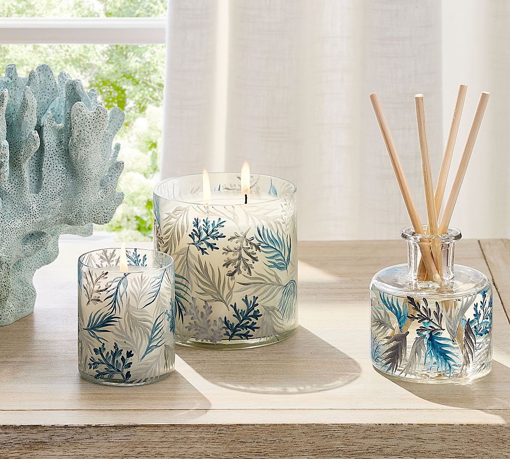 Hand Painted Coastal Scent Collection - Sea Salt & Driftwood | Pottery Barn (US)