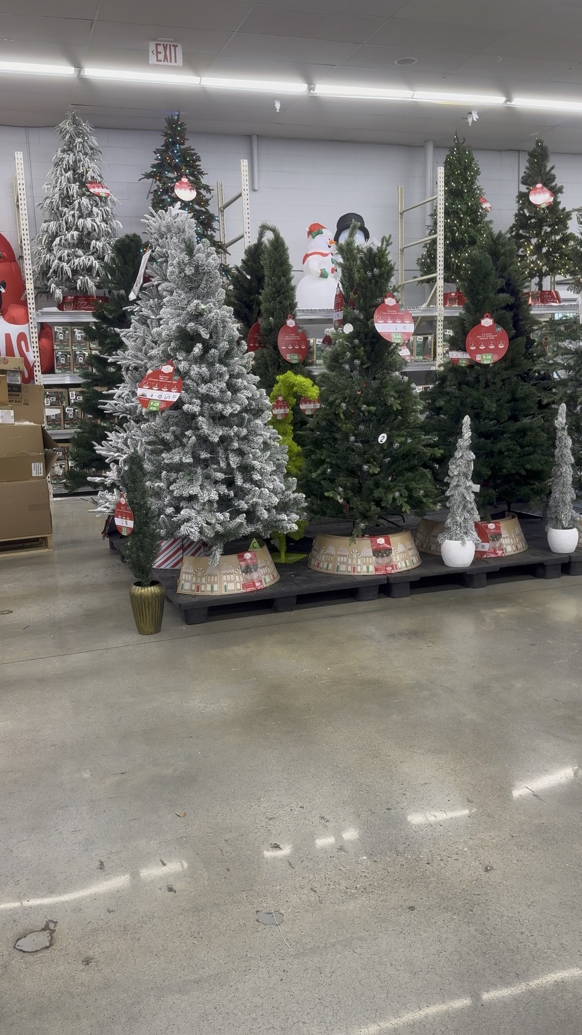OKAYYYY, THE VIRAL CHRISTMAS TREE IS BACK! 🎄🎅🏽🔥

BABY, RUN! 😂 This is one of those Christmas finds that had EVERYBODY talking and now it’s back for another holiday season! I WANT IT AGAIN! 😍

🛍️ SHOP THE VIRAL CHRISTMAS TREE ON MY LTK!

#ChristmasTree #ChristmasFinds #HolidayDecor #LTKFinds