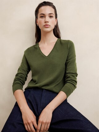 Forever V-Neck Sweater | Banana Republic Factory