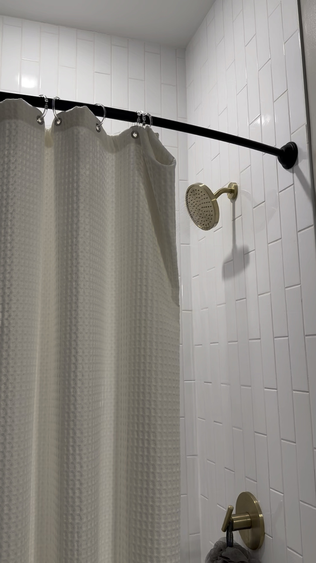 everything shower essentials 