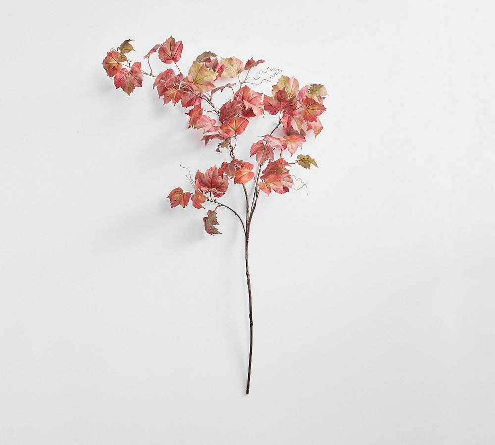 Faux Maple Leaf Vine Branch | Pottery Barn (US)