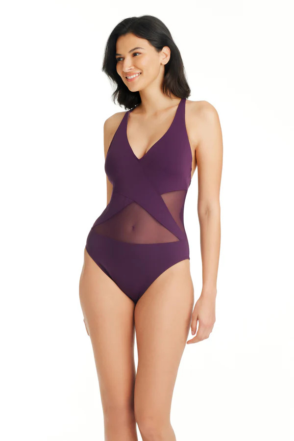 Don't Mesh With Me One Piece Surplice Mesh One Piece Swimsuit | Bleu Rod Beattie