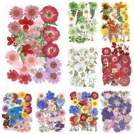 Keyohome 104/96/94Pcs Pressed Dried Flowers Set Real Natural Pressing Floral Leaves DIY Real Pressed Flowers for Indoor Outdoor Home,3 Sheets | Walmart (US)