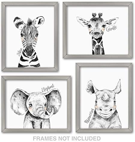 Confetti Fox Zoo Animals Nursery Wall Decor - 8x10 Unframed Set of 4 Art Prints - Safari Baby Zeb... | Amazon (US)