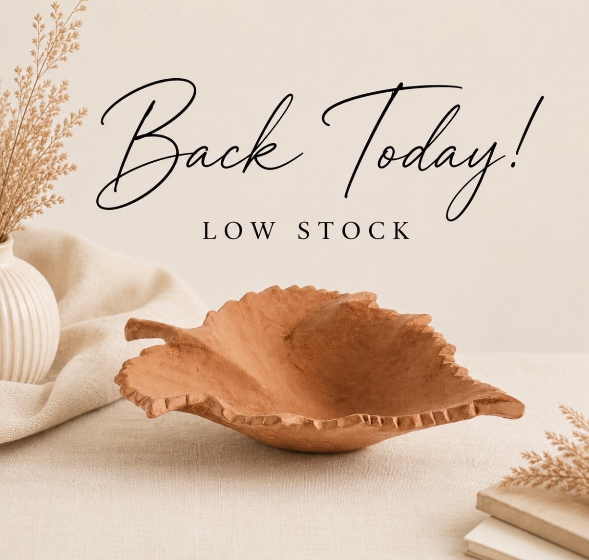 Popular terracotta decor is back today in 3 size options and 2 colors. 🤎

✨ Starting at $30
✨ Viral small size is already low stock
✨ Currently shipping

I ordered mine this morning. If you see your preferred size available, I’d add to cart quickly before it sells out again. 🍂

#LTKHome #LTKSeasonal