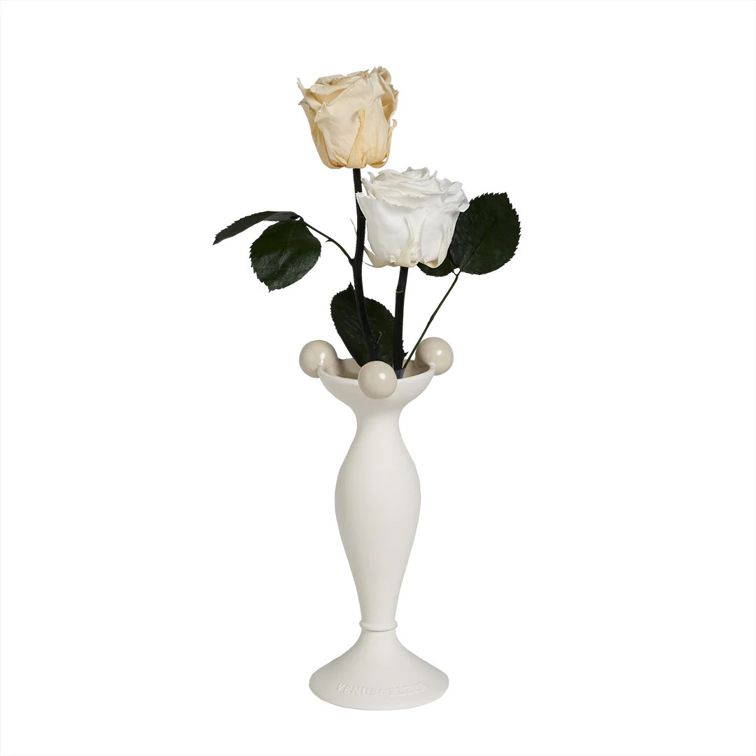 Babiole Vase | Venus ET Fleur