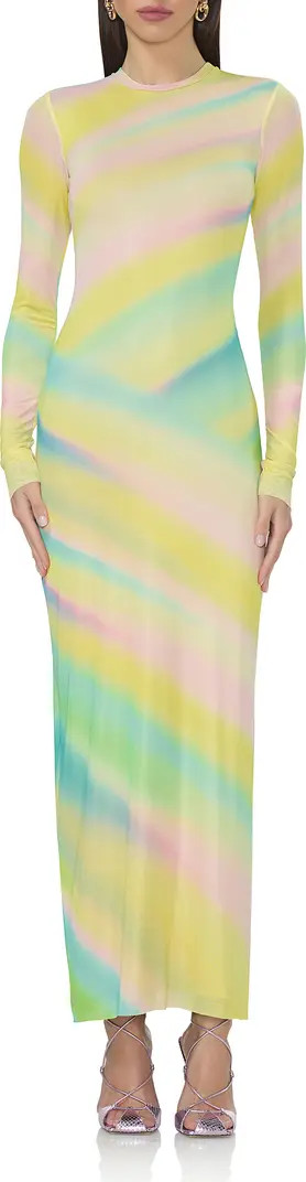 Didi Printed Long Sleeve Mesh Maxi Dress | Nordstrom