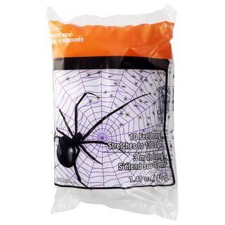 Spider Web by Ashland™ Halloween | Michaels Stores
