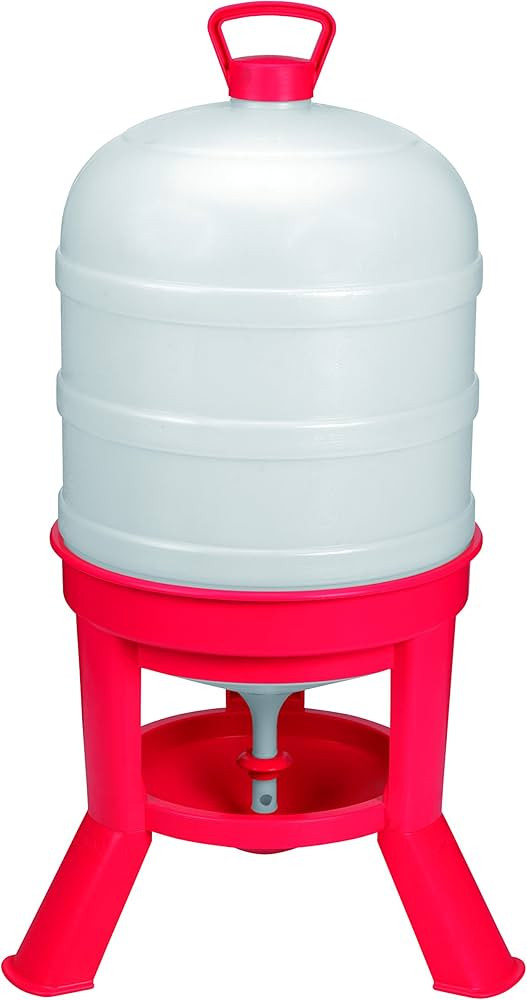 Little Giant® Plastic Dome Waterer | Heavy Duty Plastic Gravity Fed Poultry Waterer Container Ta... | Amazon (US)