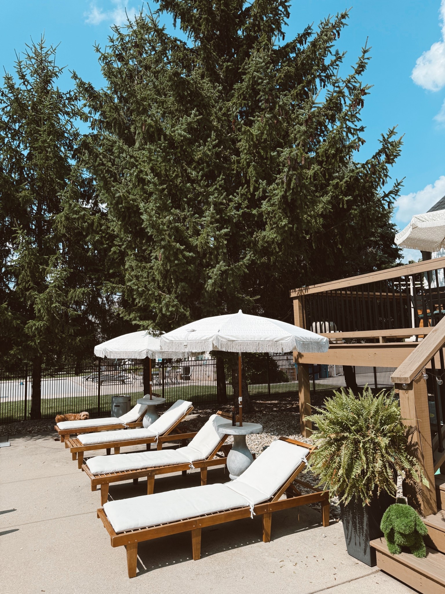 The BEST lounge chairs for the pool ☀️

#LTKdayinmylife #LTKSwim #LTKSeasonal