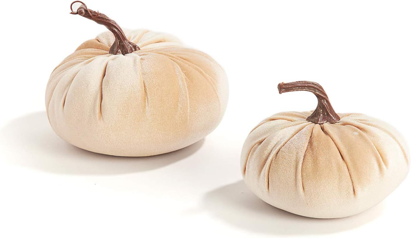 Velvet Pumpkins for Decorating - Set of 2, Plush Velveteen Fabric with Realistic Stems, 5 Inch an... | Amazon (US)