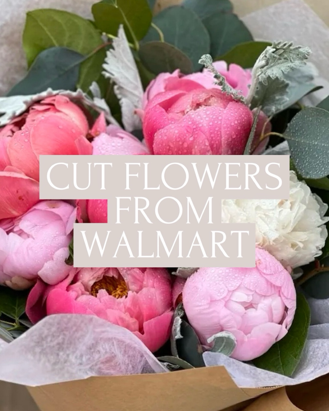 Cut flowers from Walmart! Peony’s, ranunculus and so many more! 

#LTKhome #LTKSeasonal