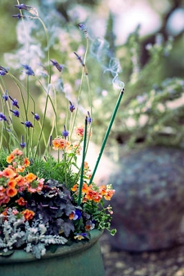 Citronella Garden Sticks | Terrain