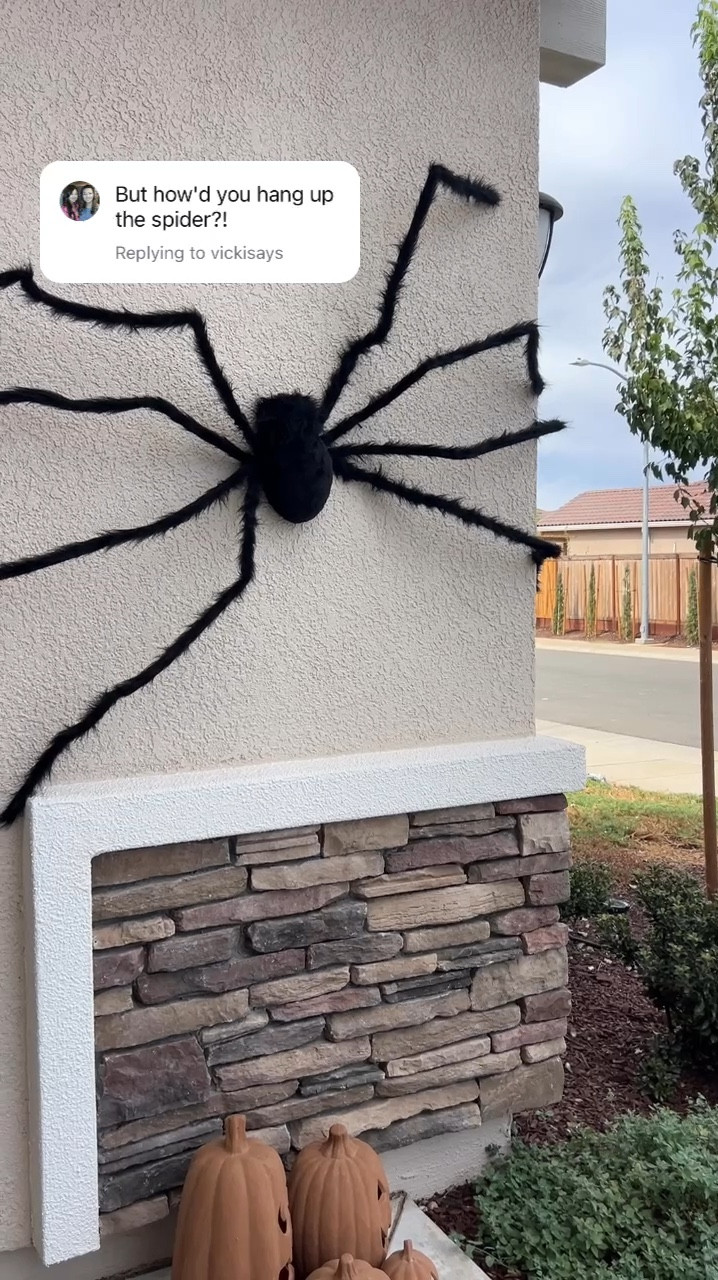 These zip ties + command square strips worked great to hang up our giant spider 🕷️🕸️

#LTKHalloween