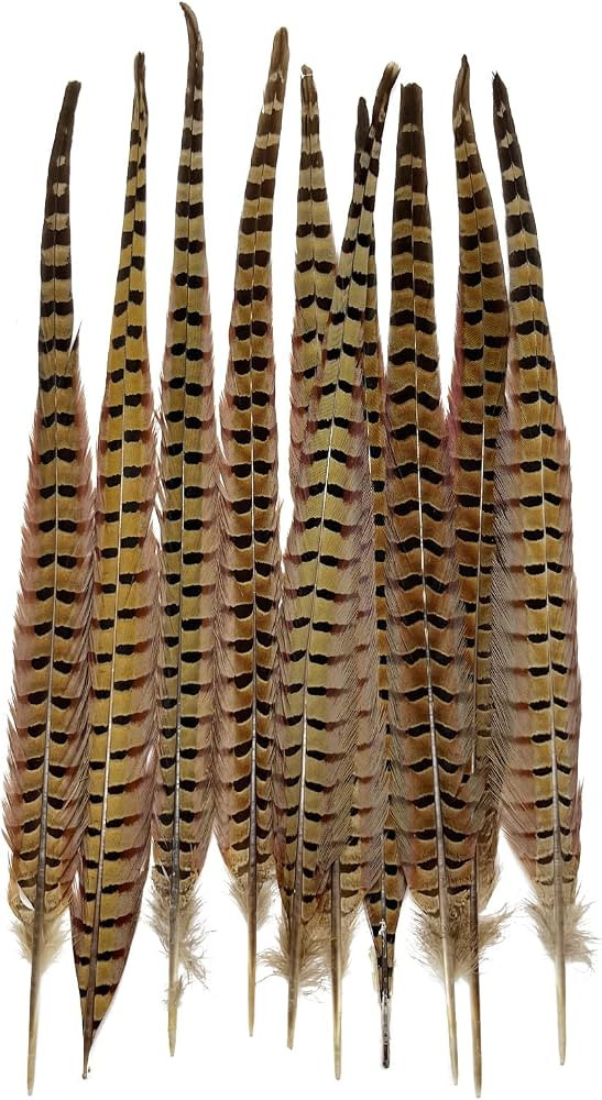 10pcs Natural Pheasant Tail Feathers for Floral Arrangements 16-18 Inch, Decorative Feathers for ... | Amazon (US)