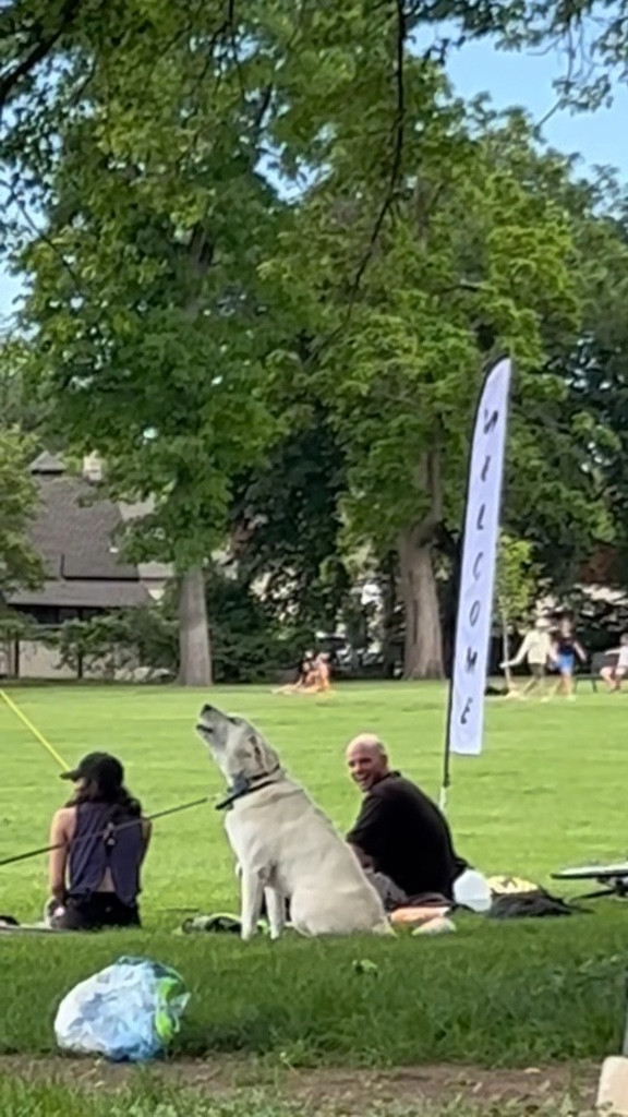 Park days are popular here. Especially saying “Hi” to everyone’s dog. We found a howler, singing the song of his people  

#LTKPets #LTKWatchNow #LTKActive
