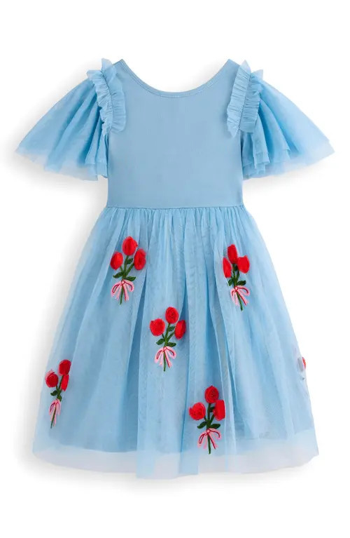 Mini Boden Kids' Embroidered Tulle & Knit Dress in Glacier Blue Roses at Nordstrom, Size 2-3Y | Nordstrom