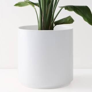 Peach & Pebble 8 in. White Ceramic Indoor Planter (7 in. to 12 in.)-PL-CP-CR-02-01-08 - The Home ... | The Home Depot