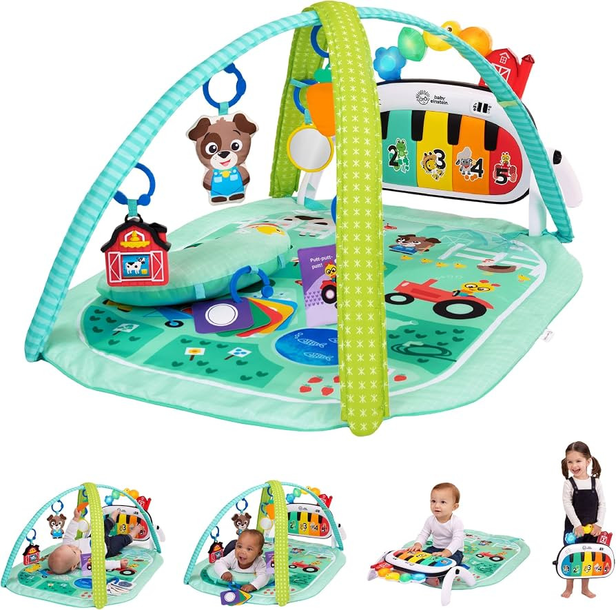 Baby Einstein Farm Explorers 4-in-1 Kickin\u2019 Tunes Musical Meadow Music & Language Discovery ... | Amazon (US)