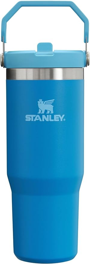 STANLEY IceFlow Stainless Steel Tumbler with Straw, Vacuum Insulated Water Bottle for Home, Offic... | Amazon (US)
