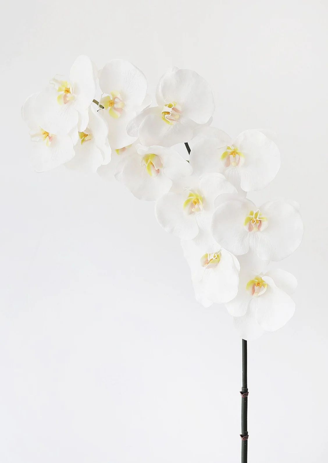 Large White Faux Orchids - 44" | Afloral