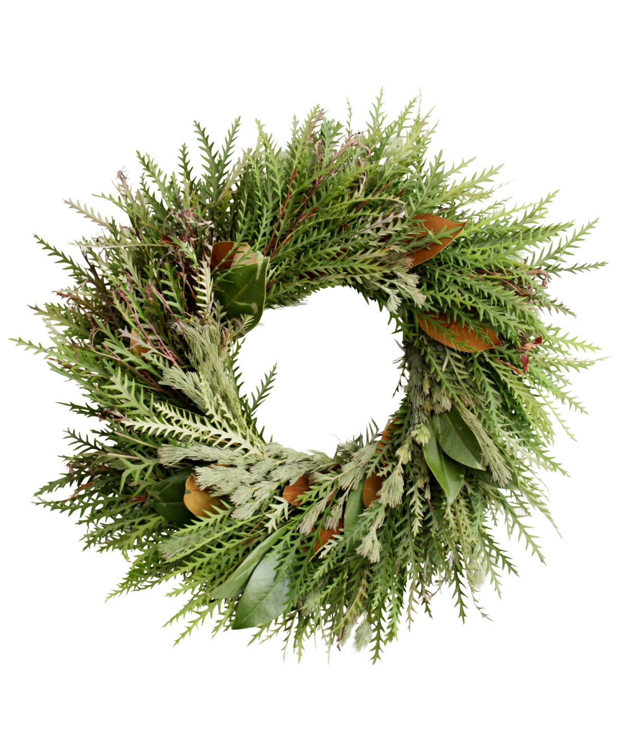 Magnolia Supply Co Fresh Grevillea, Wooly Bush and Magnolia Wreath, 20 | Macys (US)