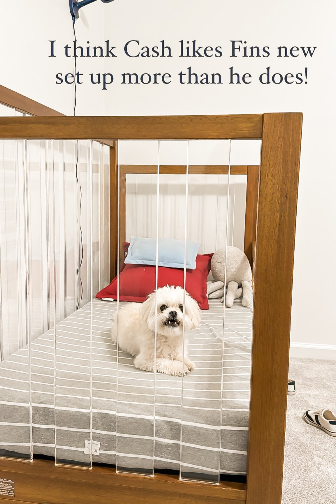 New Toddler Bed | New House | Toddler Bedroom | Kids Bedroom 

#LTKhome #LTKbaby #LTKkids