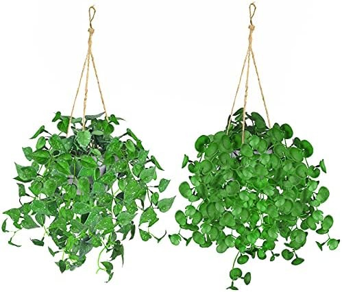 Artificial Hanging Plants，2 Pack Fake Eucalyptus Plants Potted Faux Greenery Vines in Cement Po... | Amazon (US)