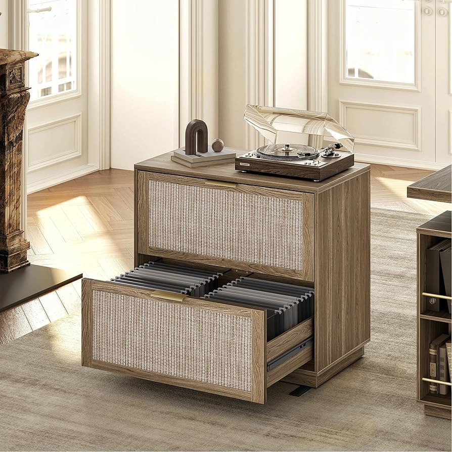 2 Drawer Rattan File Cabinet, 32'' Lateral File Cabinet for Legal/Letter/A4/F4 Size Hanging Files... | Amazon (US)